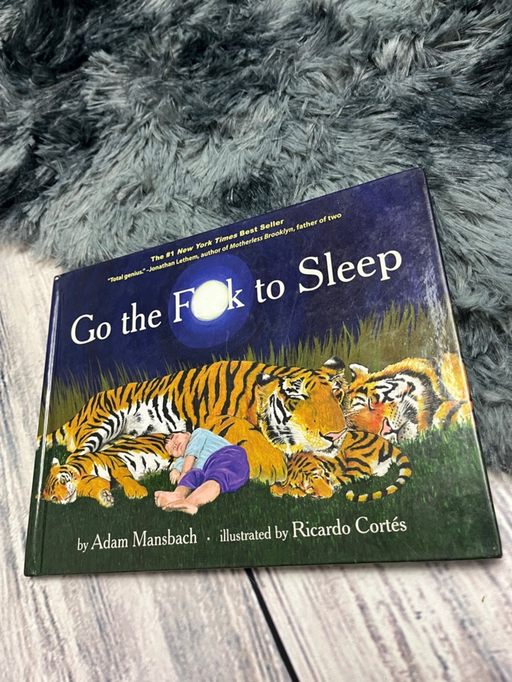 Go the F**k to Sleep Hardcover by Adam Mansbach